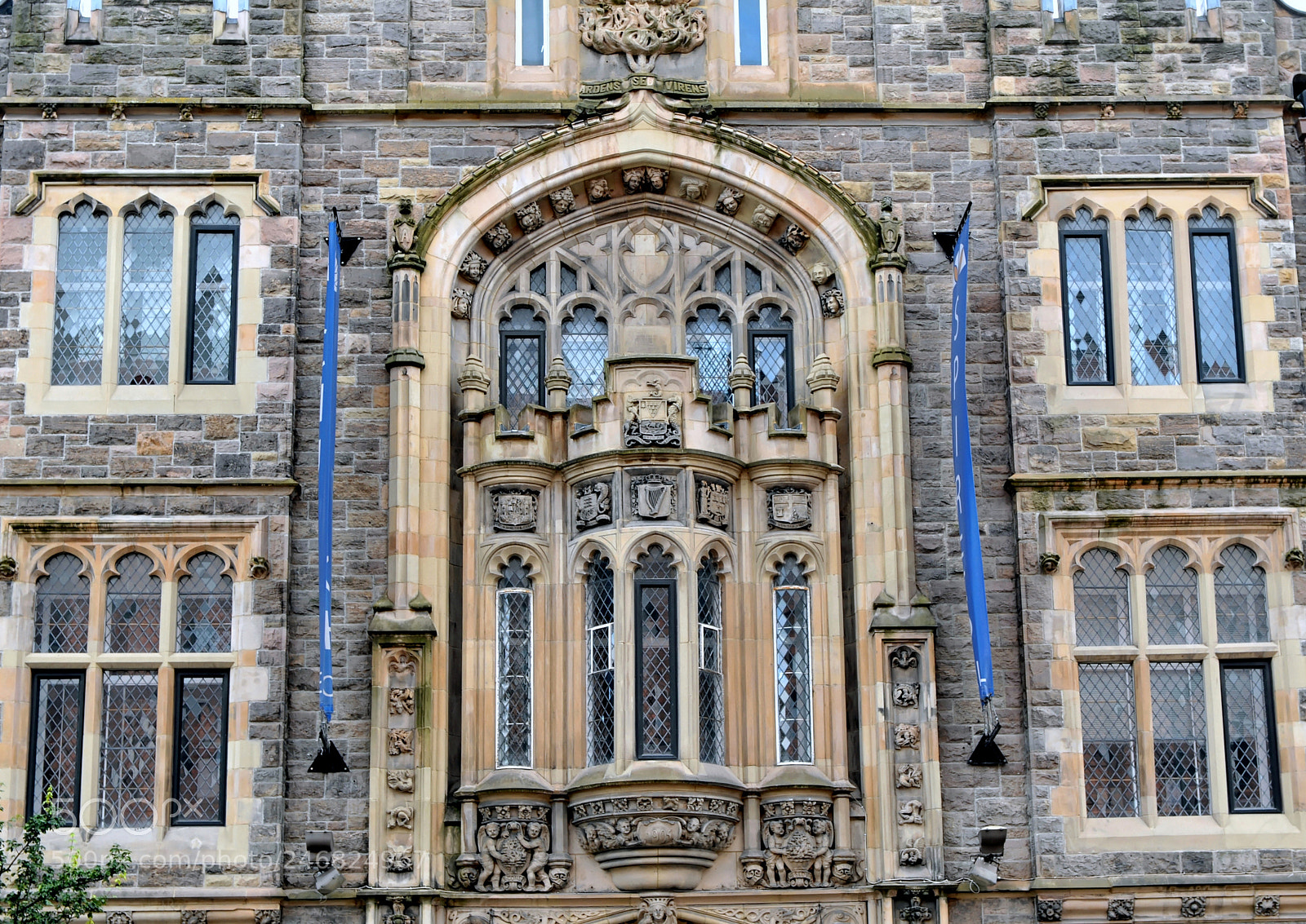 Nikon D700 sample photo. Belfast northern ireland photography