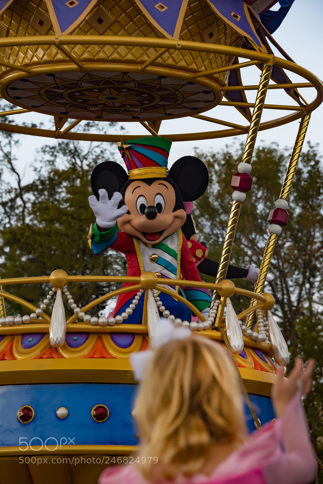 Nikon D810 sample photo. Princess and the mouse photography