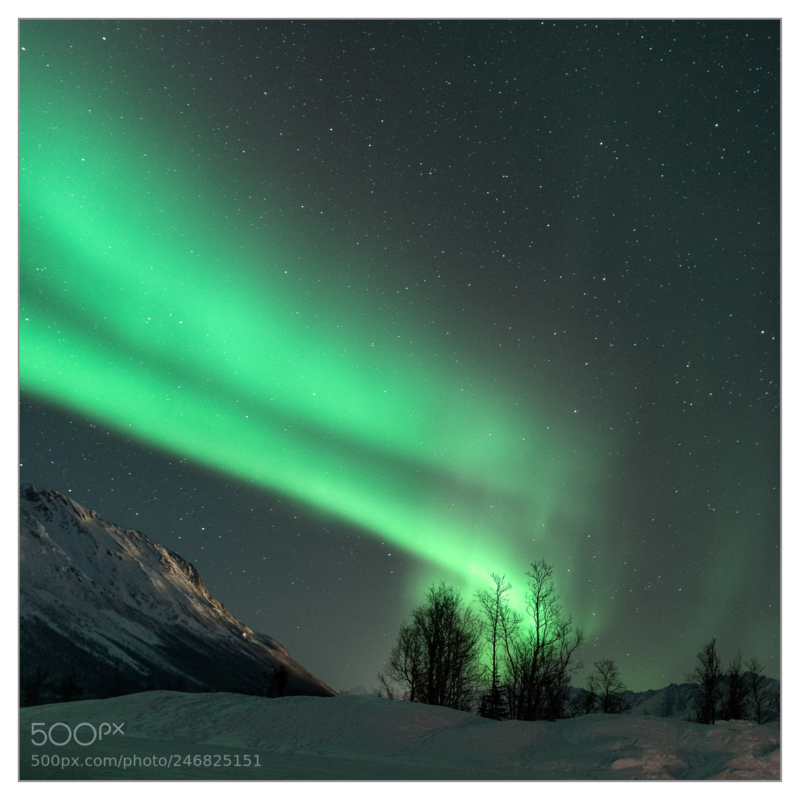Nikon D610 sample photo. Tromsø - fabulous night *1 photography
