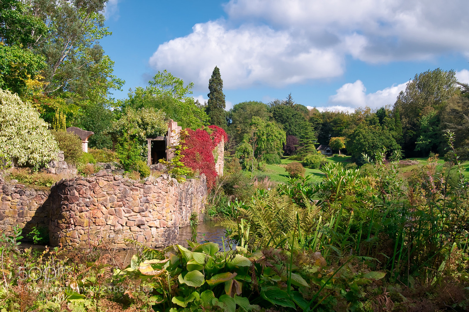 Nikon D90 sample photo. Consall hall gardens photography