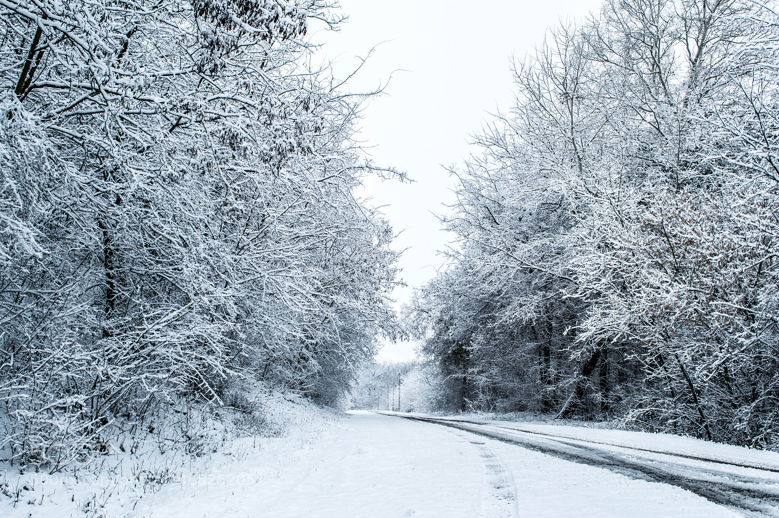 Nikon D3200 sample photo. Road to silence photography