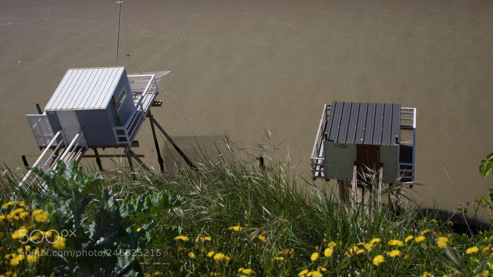 Canon EOS 550D (EOS Rebel T2i / EOS Kiss X4) sample photo. Meschers () photography