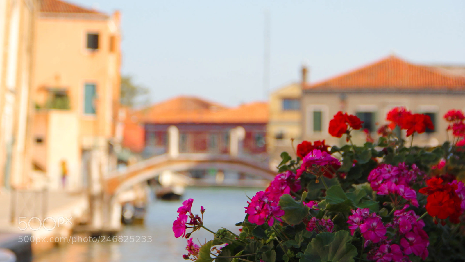 Canon EOS 550D (EOS Rebel T2i / EOS Kiss X4) sample photo. Murano () photography