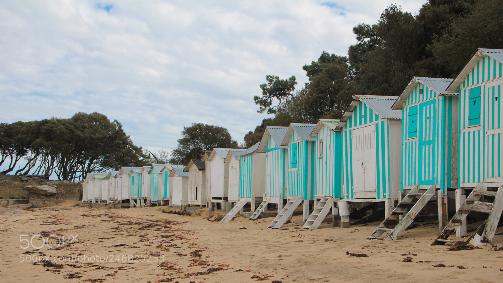 Canon EOS 550D (EOS Rebel T2i / EOS Kiss X4) sample photo. Noirmoutier () photography