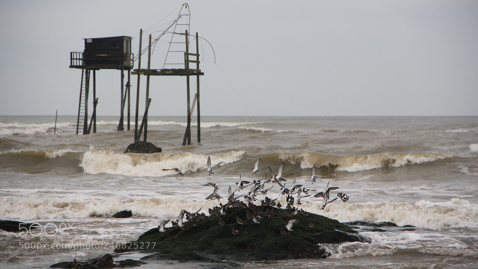 Canon EOS 550D (EOS Rebel T2i / EOS Kiss X4) sample photo. Saint brevin les pins () photography