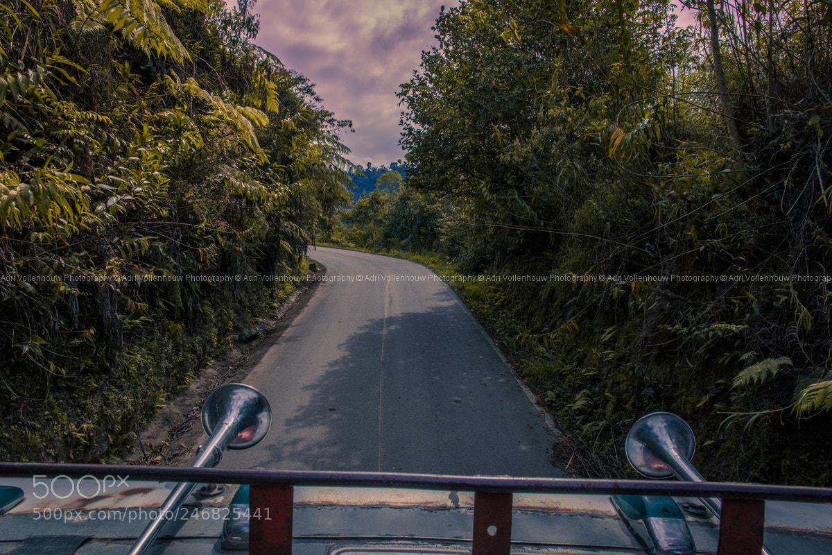 Nikon D7100 sample photo. Traveling on the roof photography