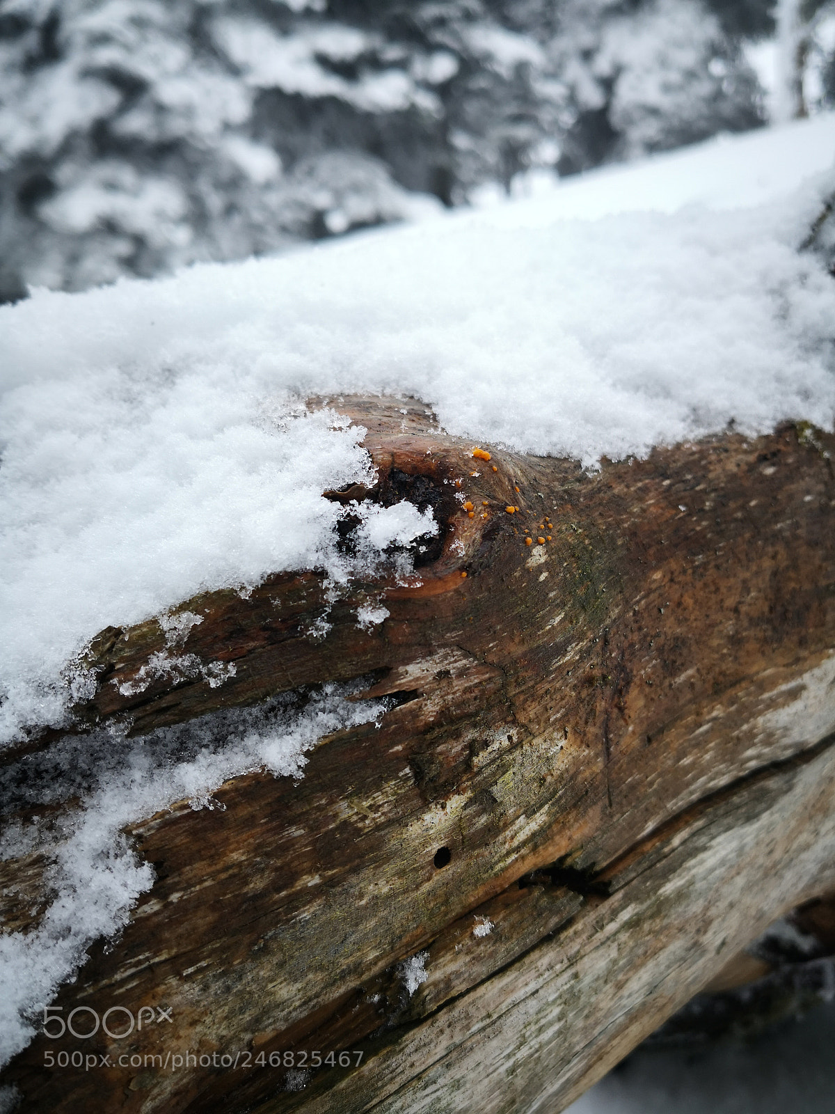 HUAWEI Mate 10 Pro sample photo. Untitled photography