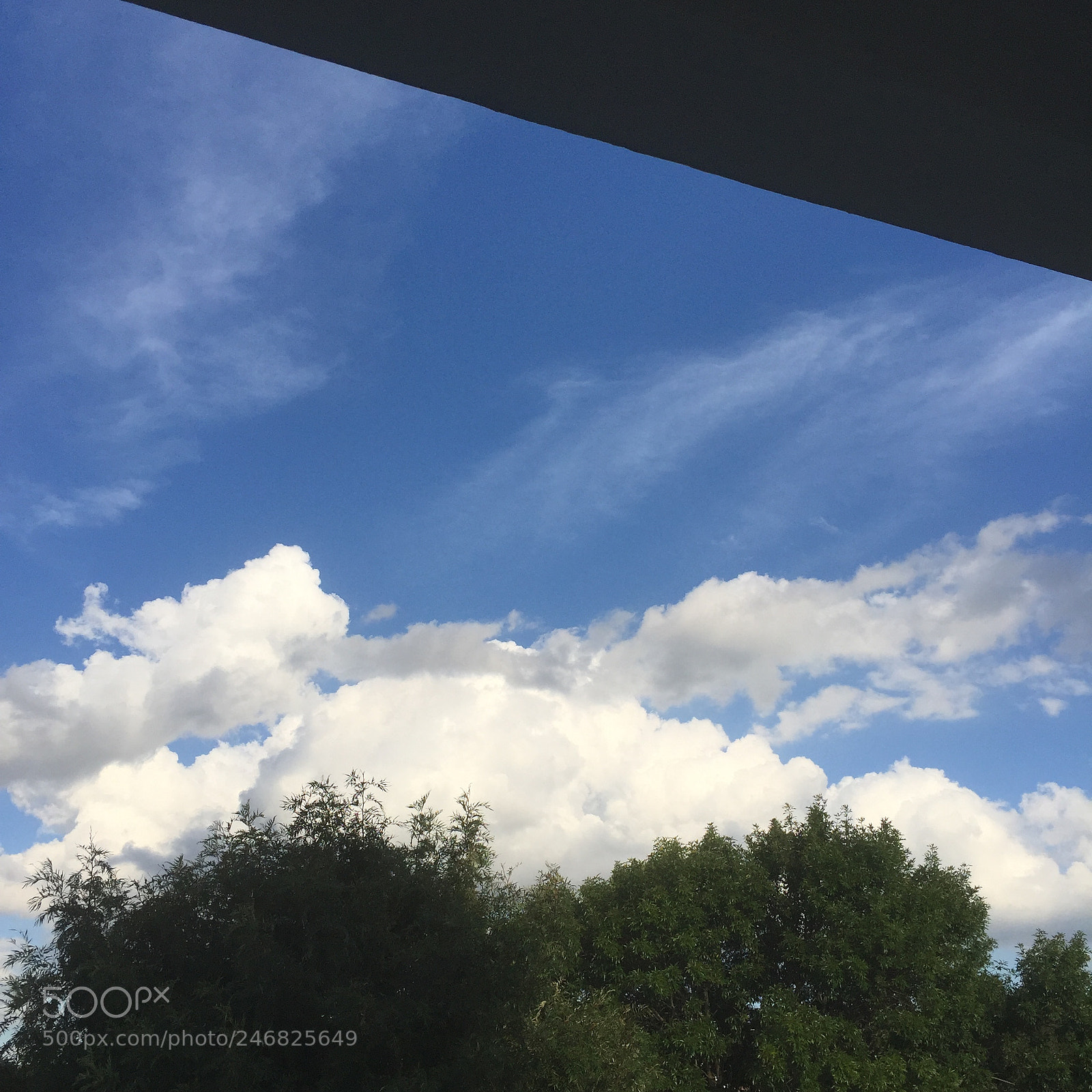 Apple iPhone 6 Plus sample photo. Untitled photography