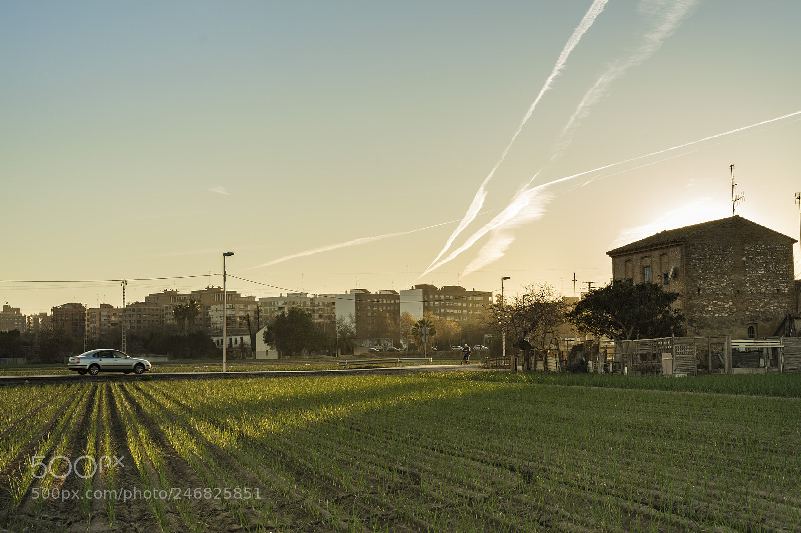 Sony a7 II sample photo. L'horta de valència photography