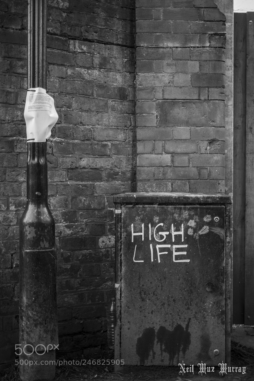 Fujifilm X-T2 sample photo. High life & dog piss photography