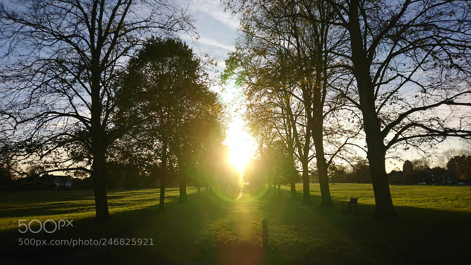Sony Xperia XZ sample photo. Sunset through trees photography