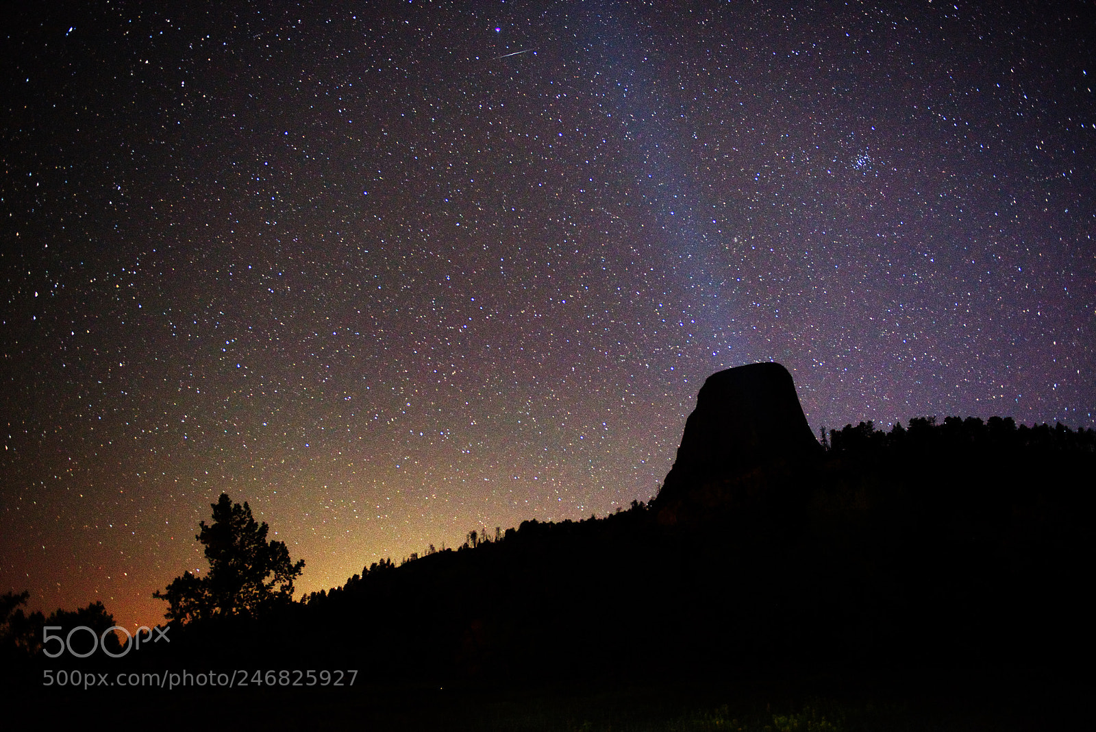 Nikon D800 sample photo. Devils tower stars photography