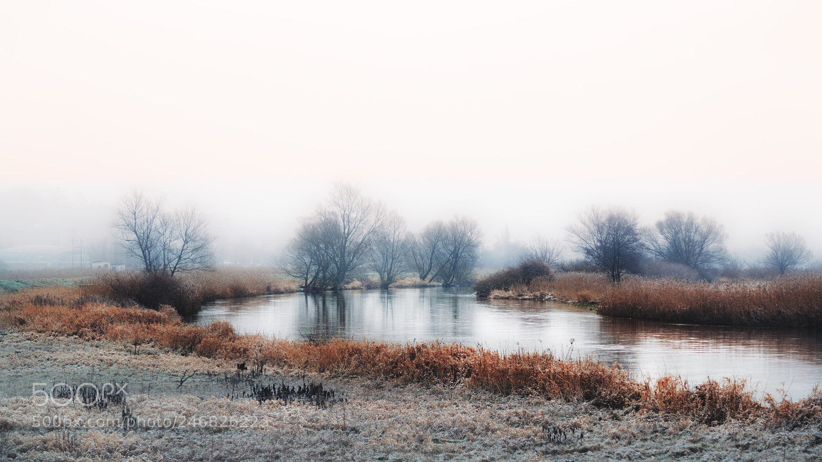 Nikon D3100 sample photo. Misty river photography