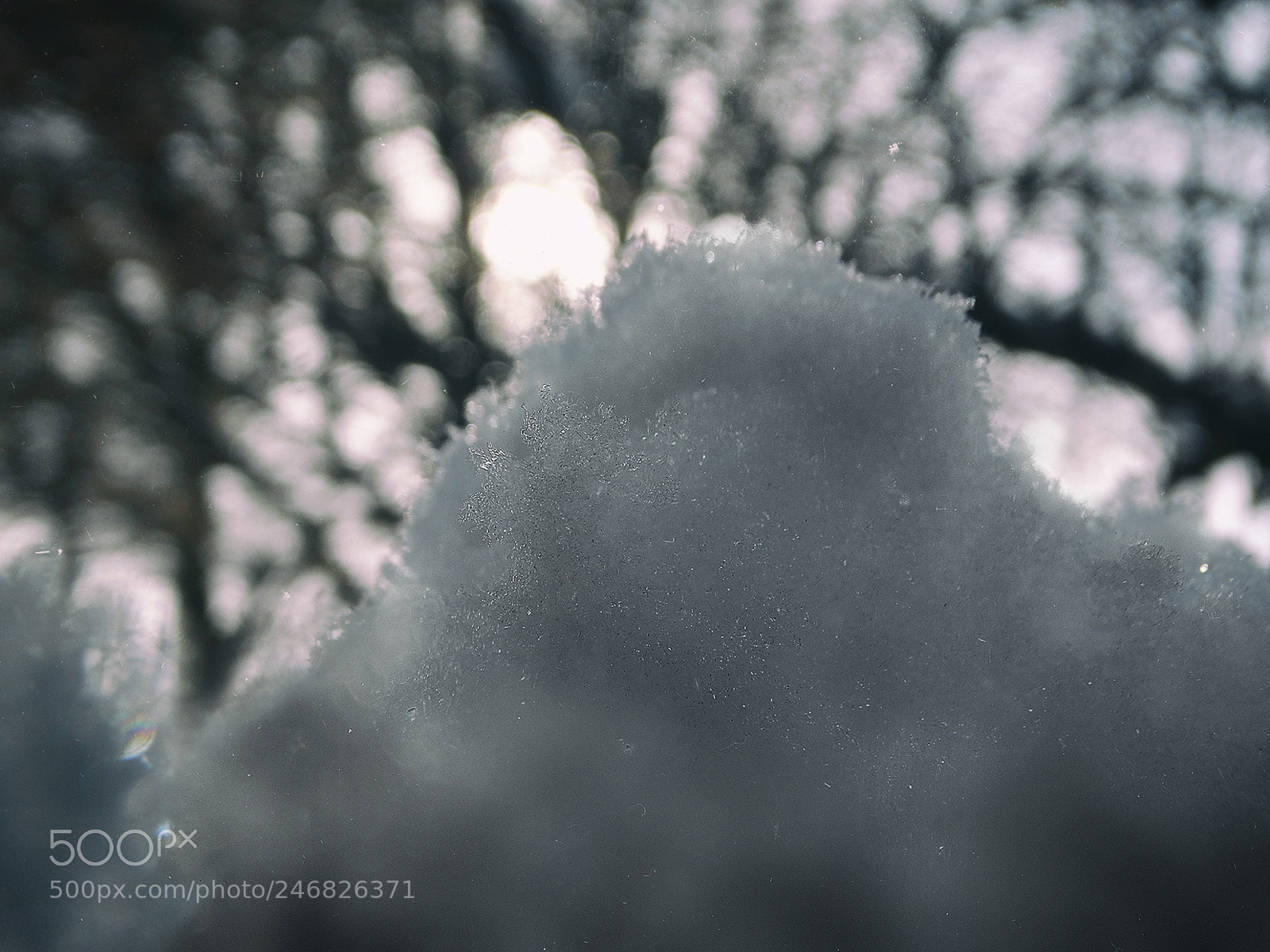 Sony Cyber-shot DSC-HX300 sample photo. Snow bokeh photography