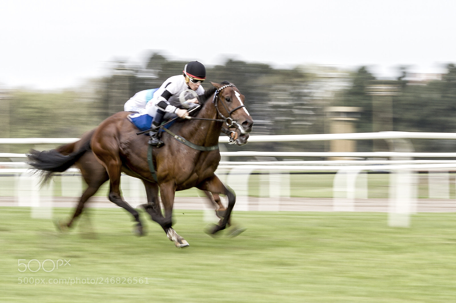 Canon EOS 7D sample photo. Race in san isidro photography