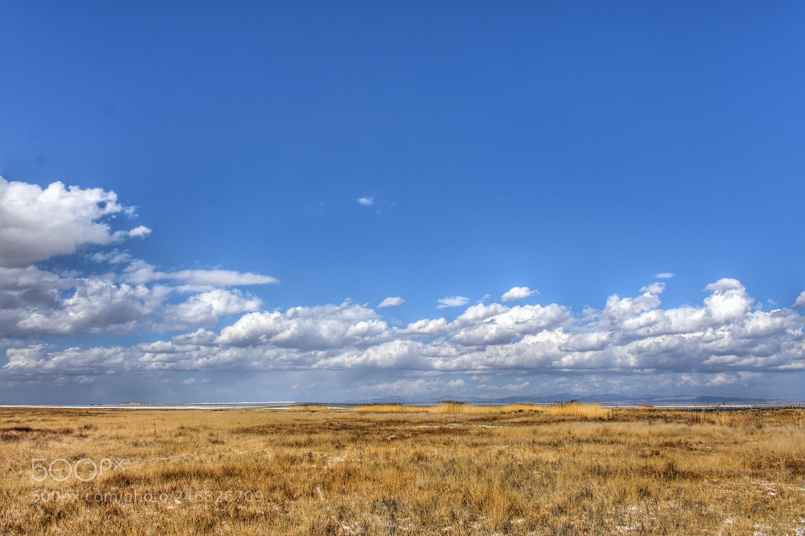 Nikon D7200 sample photo. Untitled photography