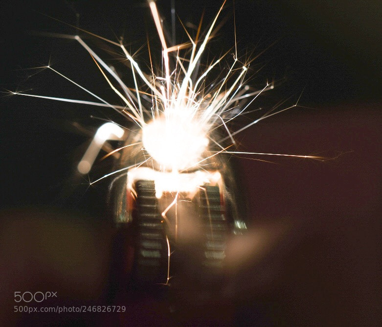 Nikon D810 sample photo. Untitled photography