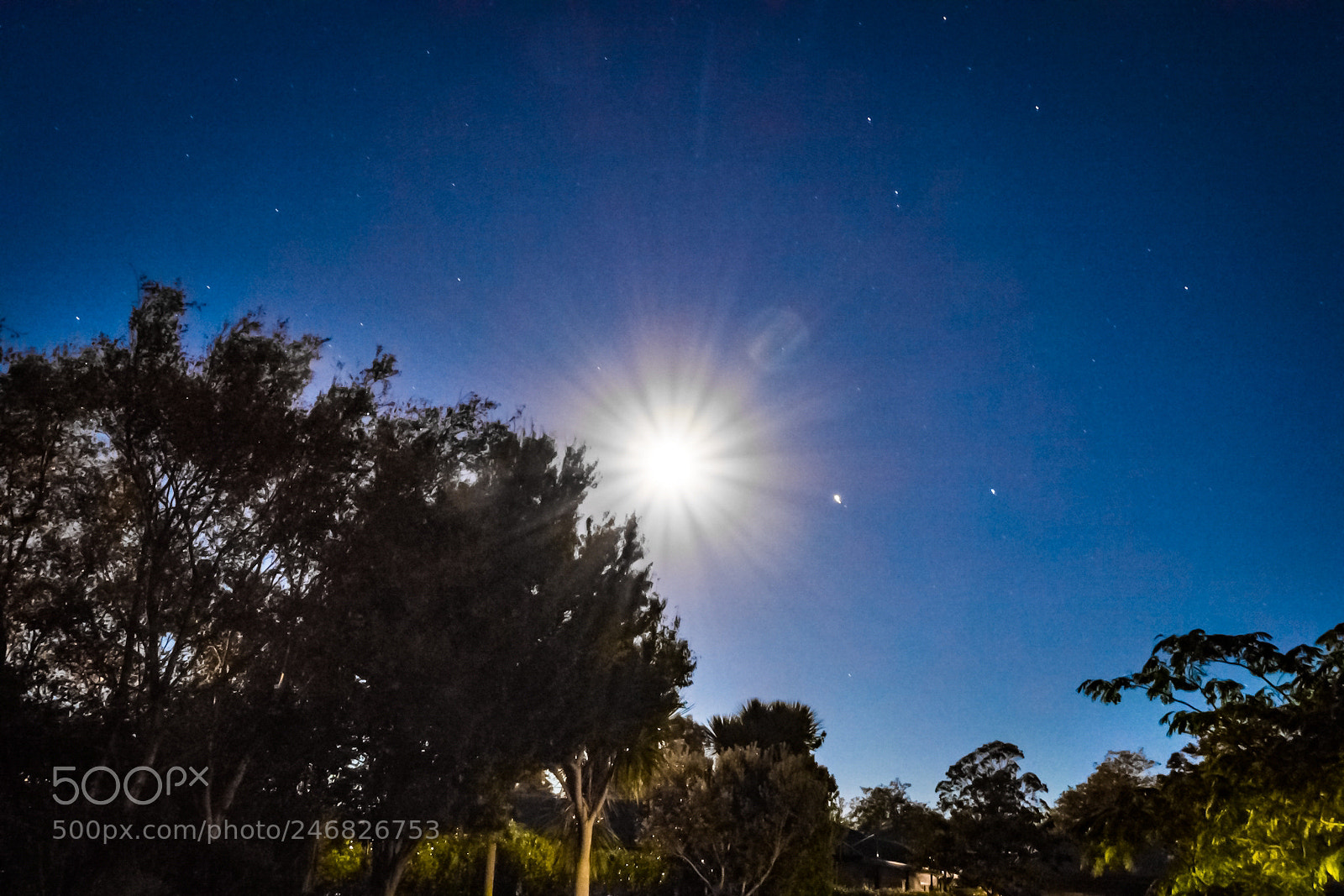 Canon EOS 750D (EOS Rebel T6i / EOS Kiss X8i) sample photo. Moon shine photography