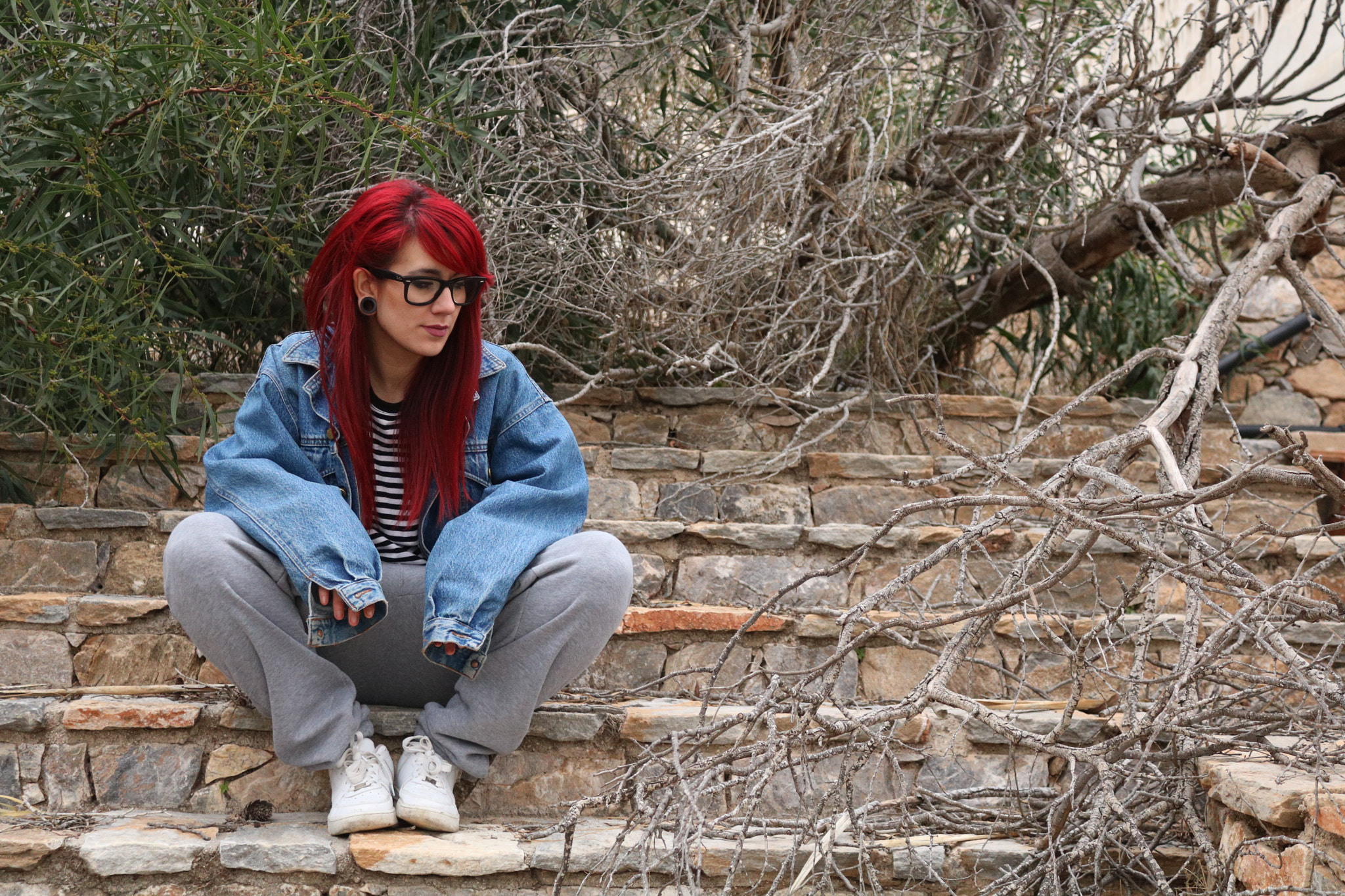 Canon EOS 750D (EOS Rebel T6i / EOS Kiss X8i) sample photo. Carmín y ramas secas photography