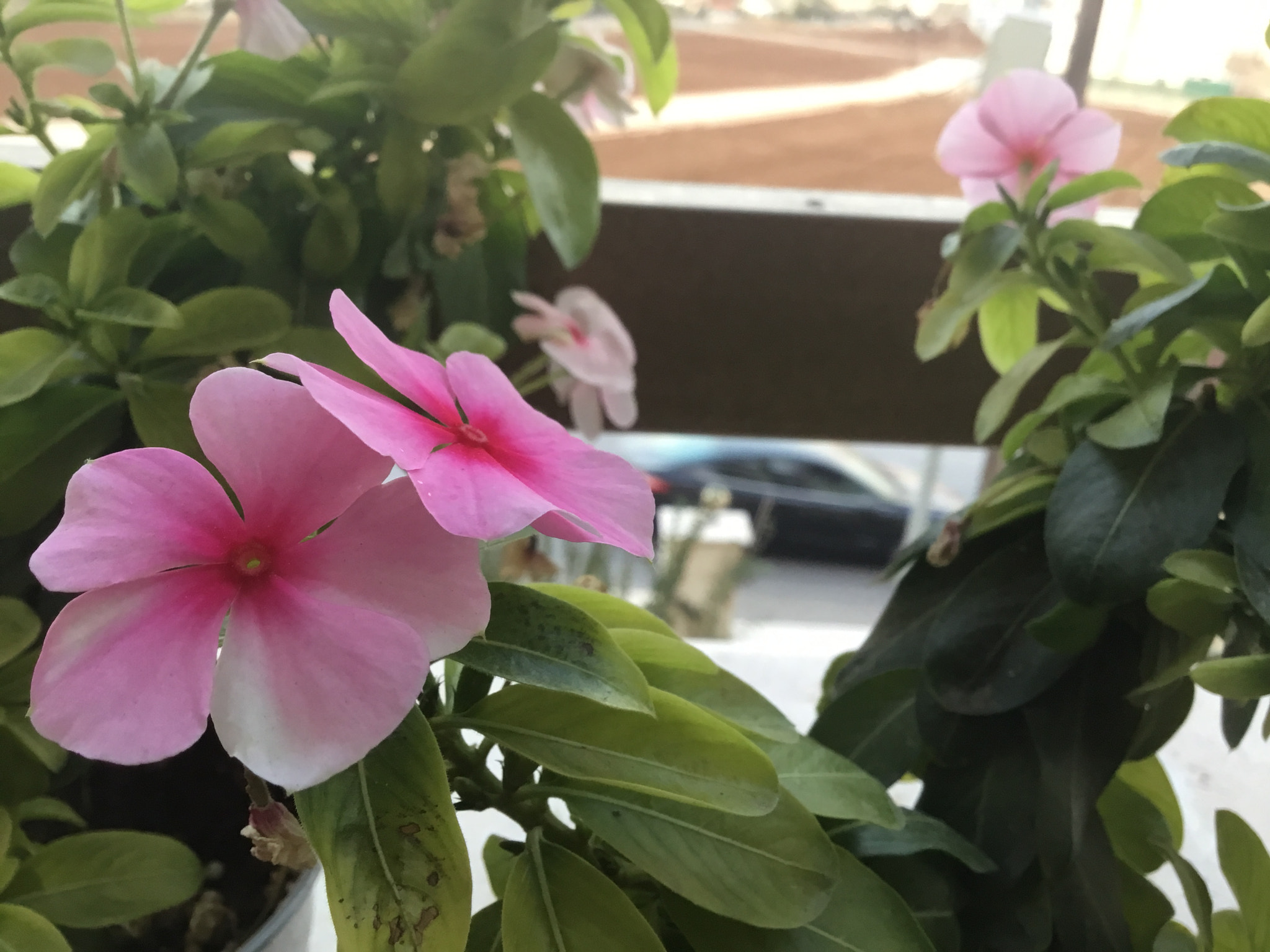 Apple iPad (5th generation) sample photo