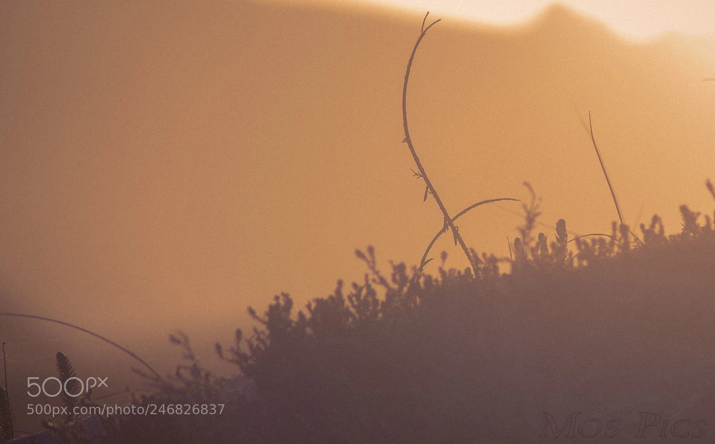 Nikon D90 sample photo. Ocaso photography