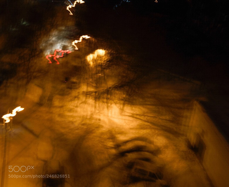 Nikon D810 sample photo. Untitled photography