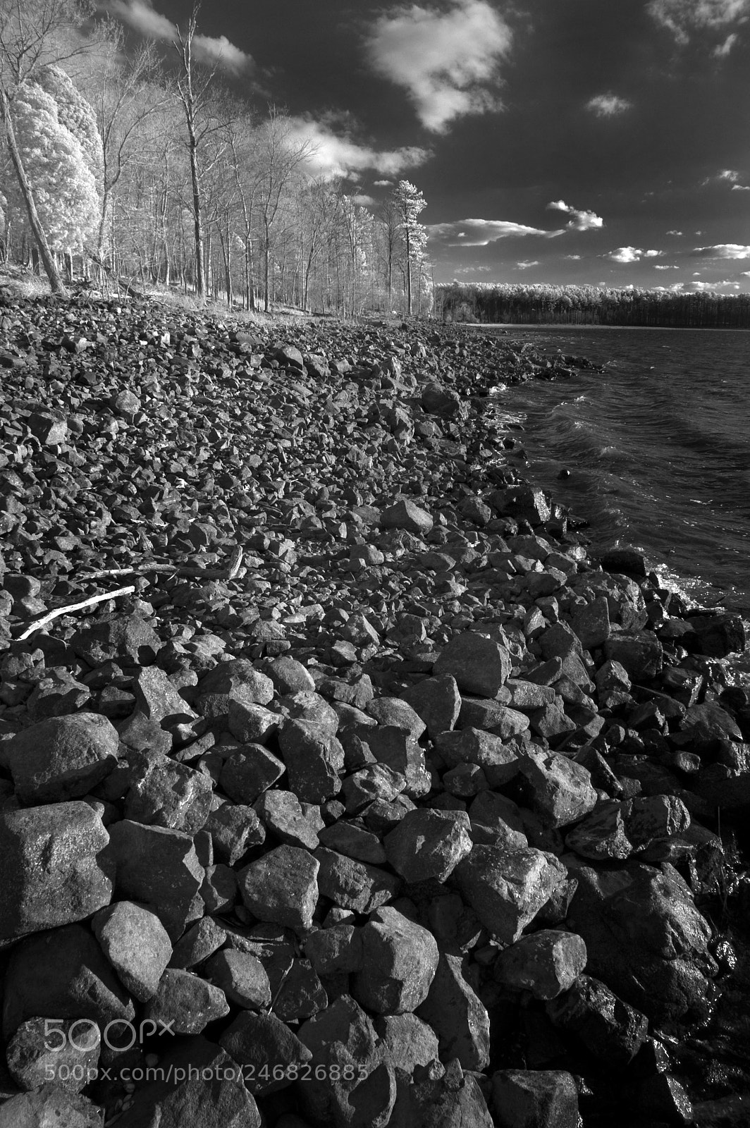 Nikon D70 sample photo. Lake bank photography