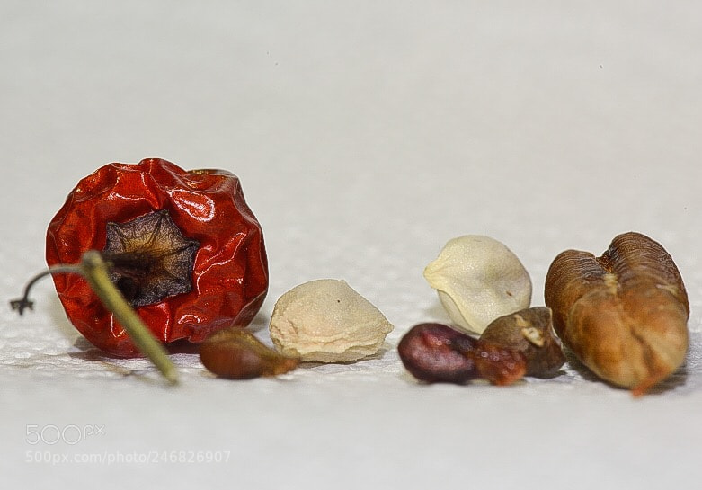 Nikon D810 sample photo. Untitled photography