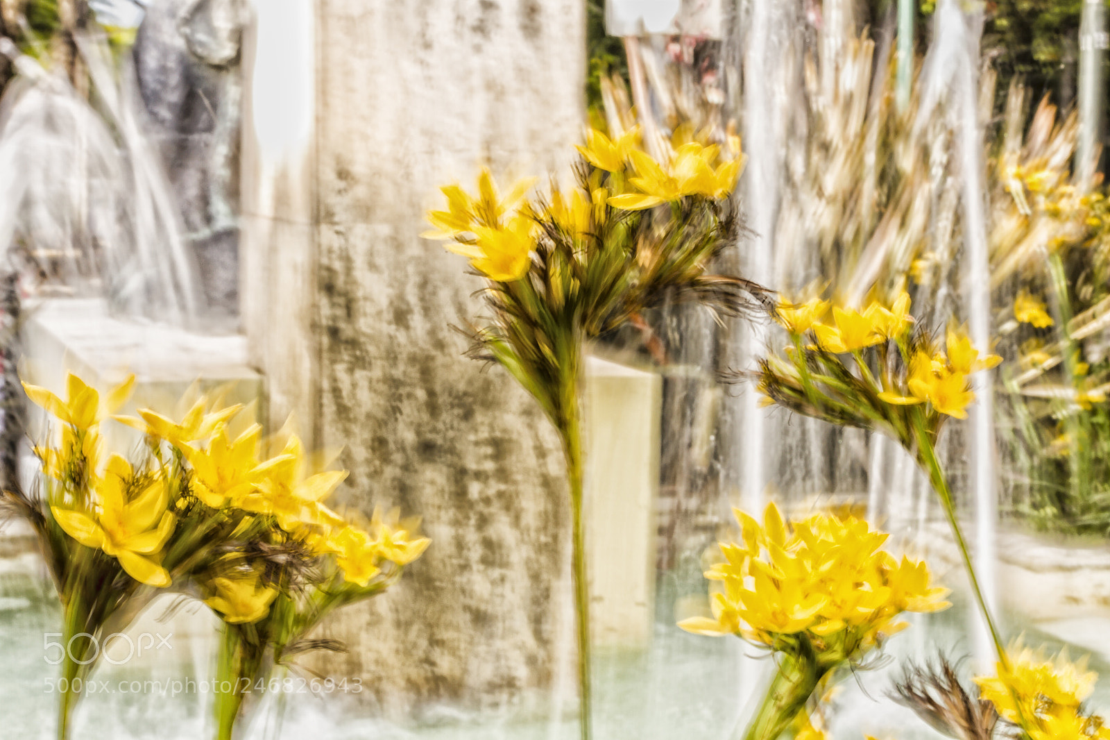 Canon EOS 7D sample photo. Flowers photography