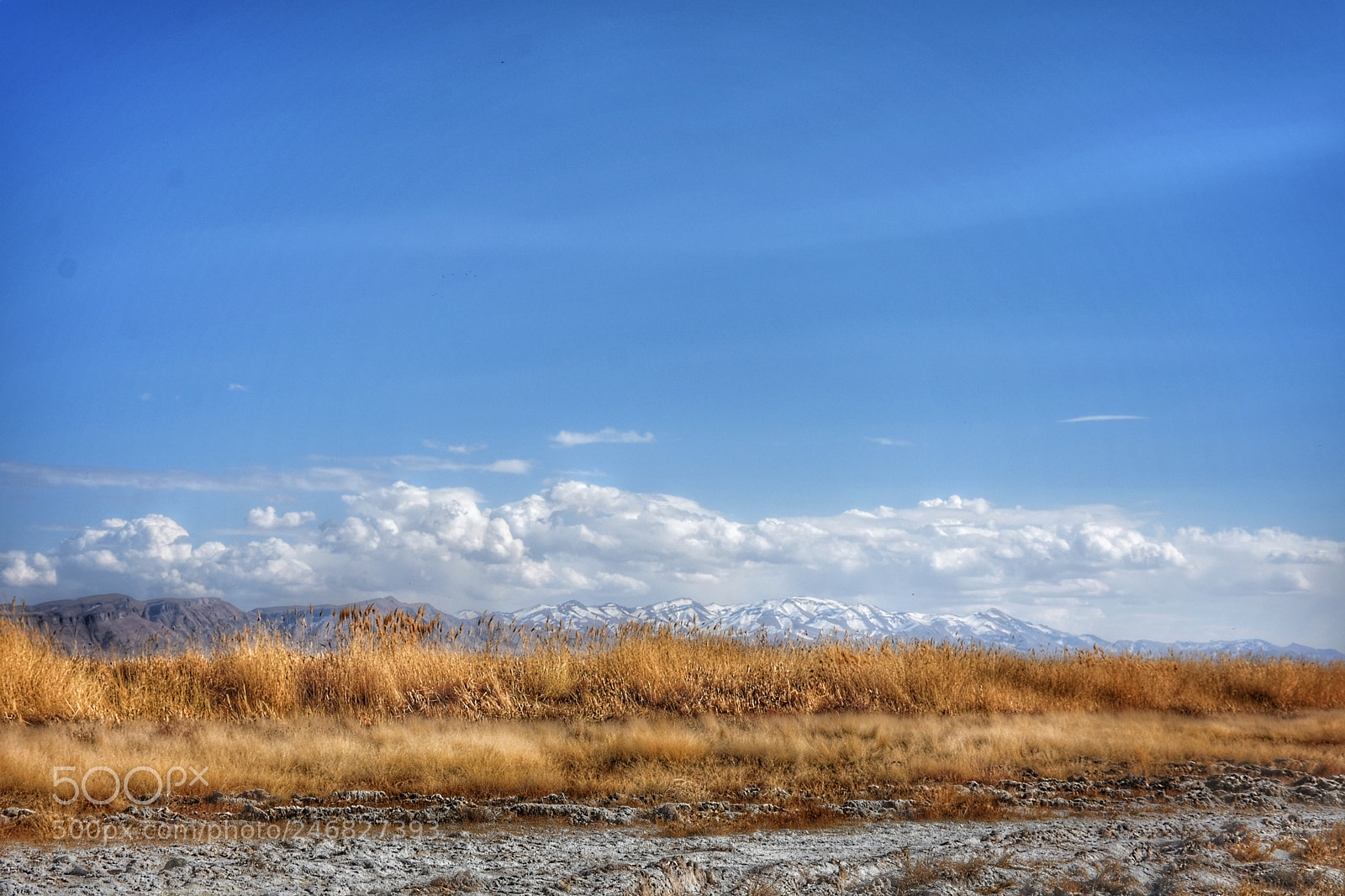 Nikon D7200 sample photo. Untitled photography