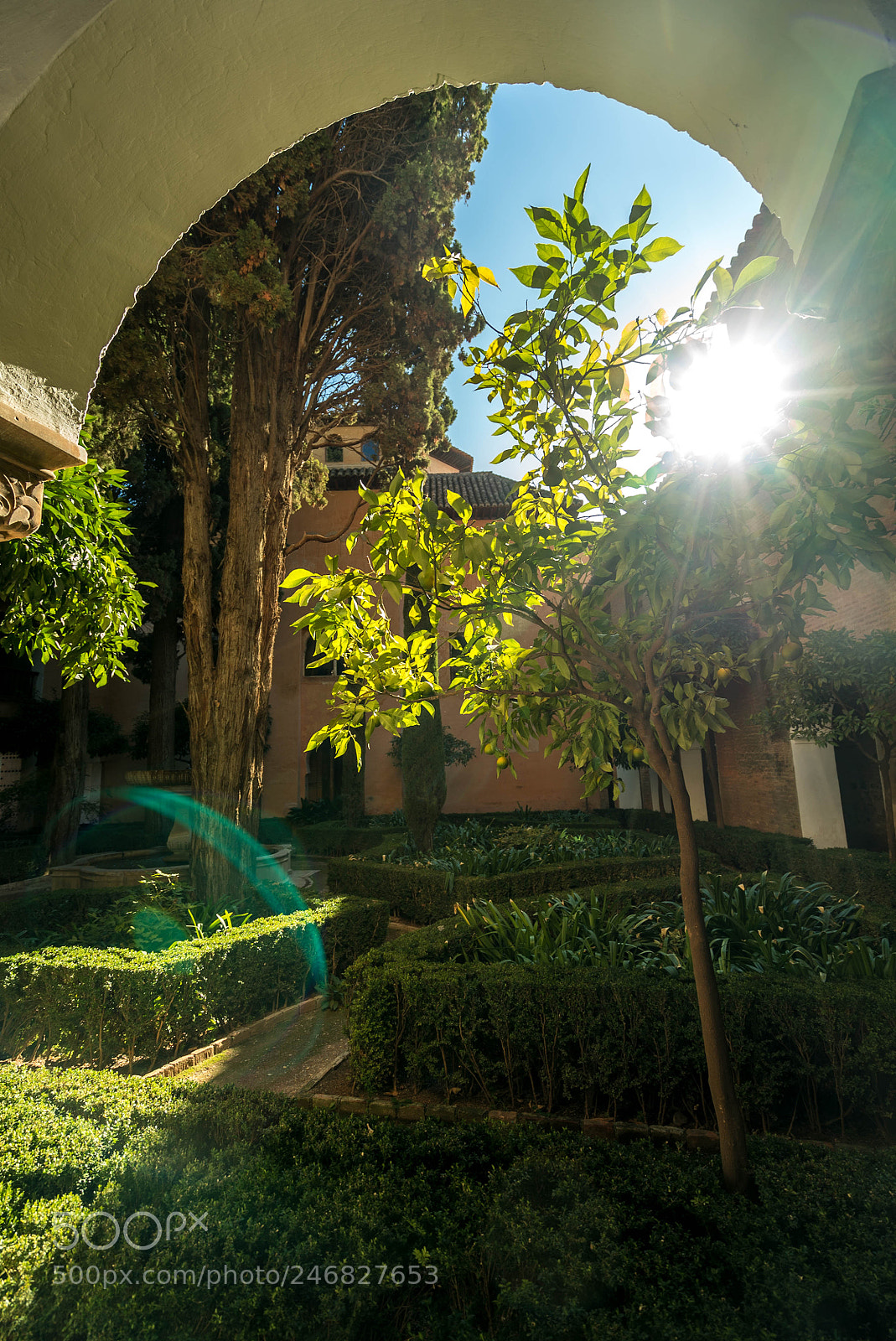 Sony a7S II sample photo. Allhumbra gardens photography