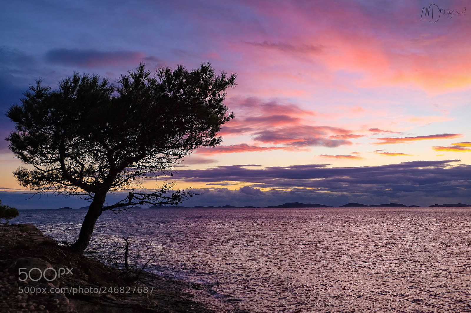 Fujifilm X-T10 sample photo. Tree sunset photography