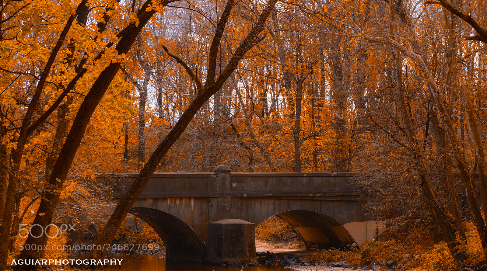 Sony Alpha NEX-7 sample photo. Untitled photography