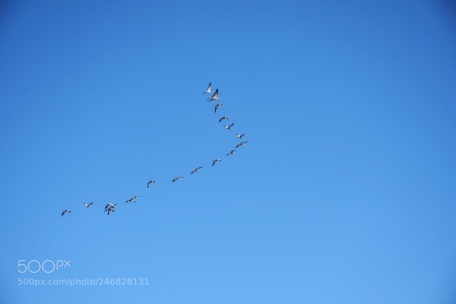 Nikon D7200 sample photo. Untitled photography