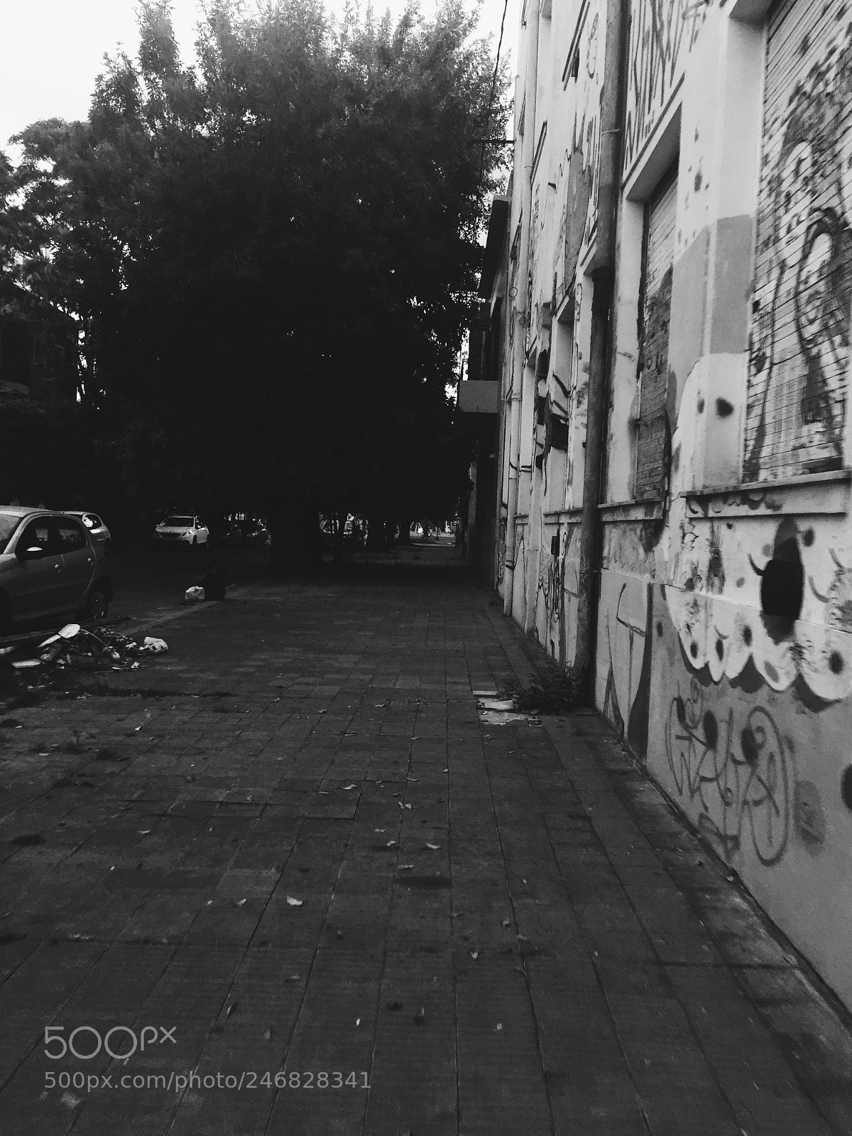 Apple iPhone 6 Plus sample photo. Instagram: maguifernandez photography