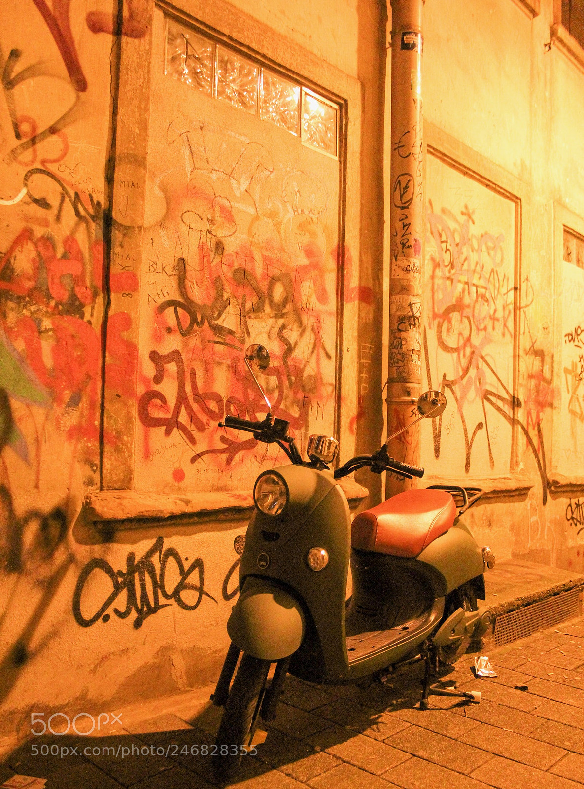Canon EOS 60D sample photo. Sneaking in the streets. photography