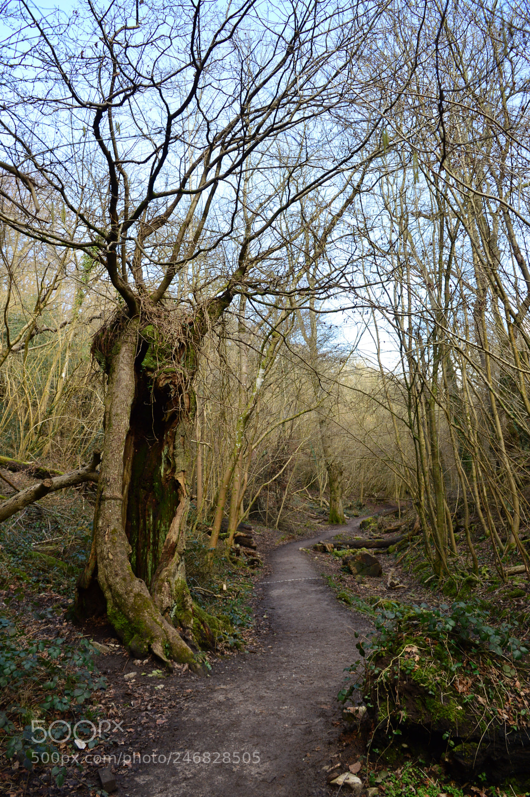 Nikon D3200 sample photo. Untitled photography
