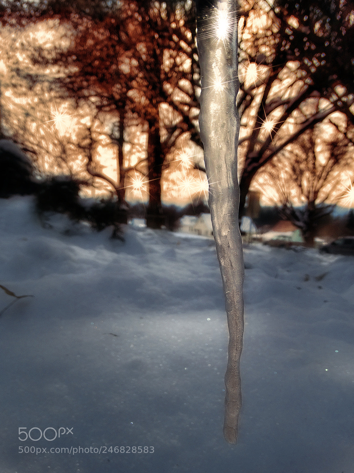 Sony Cyber-shot DSC-HX300 sample photo. Icenado photography