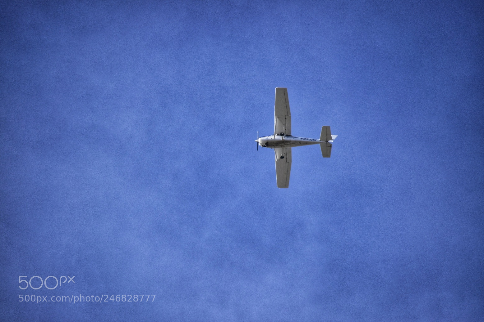 Nikon D5600 sample photo. Single prop photography