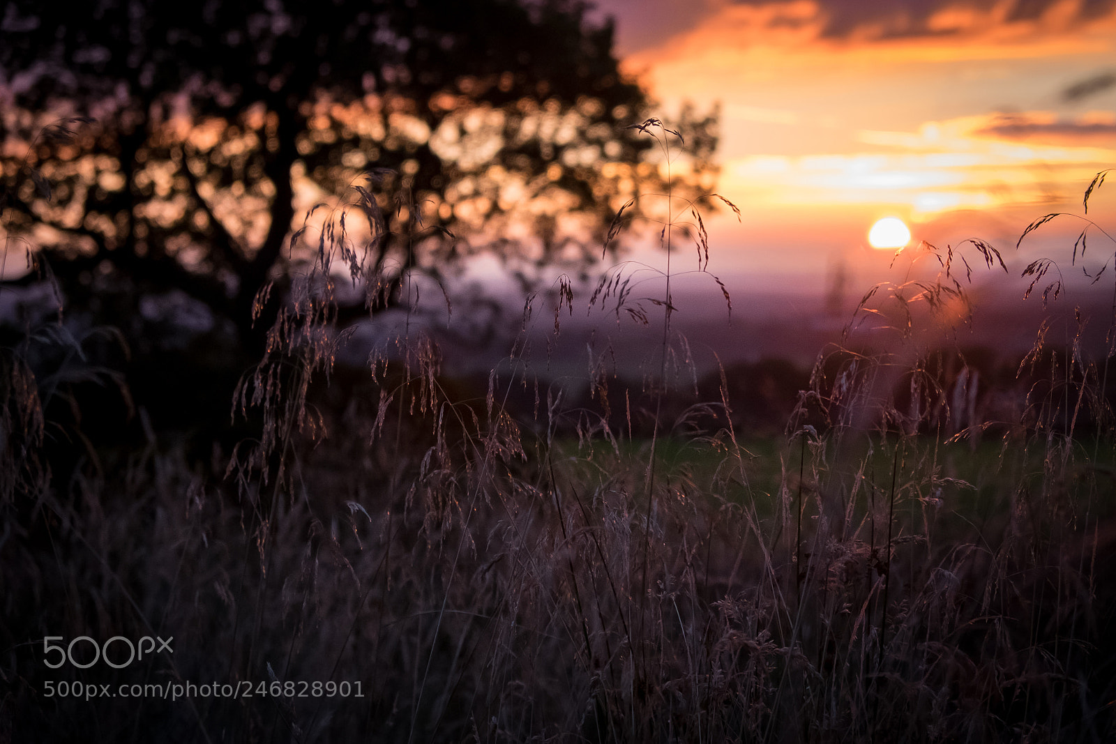 Fujifilm X-E2 sample photo. Rivington sunset photography