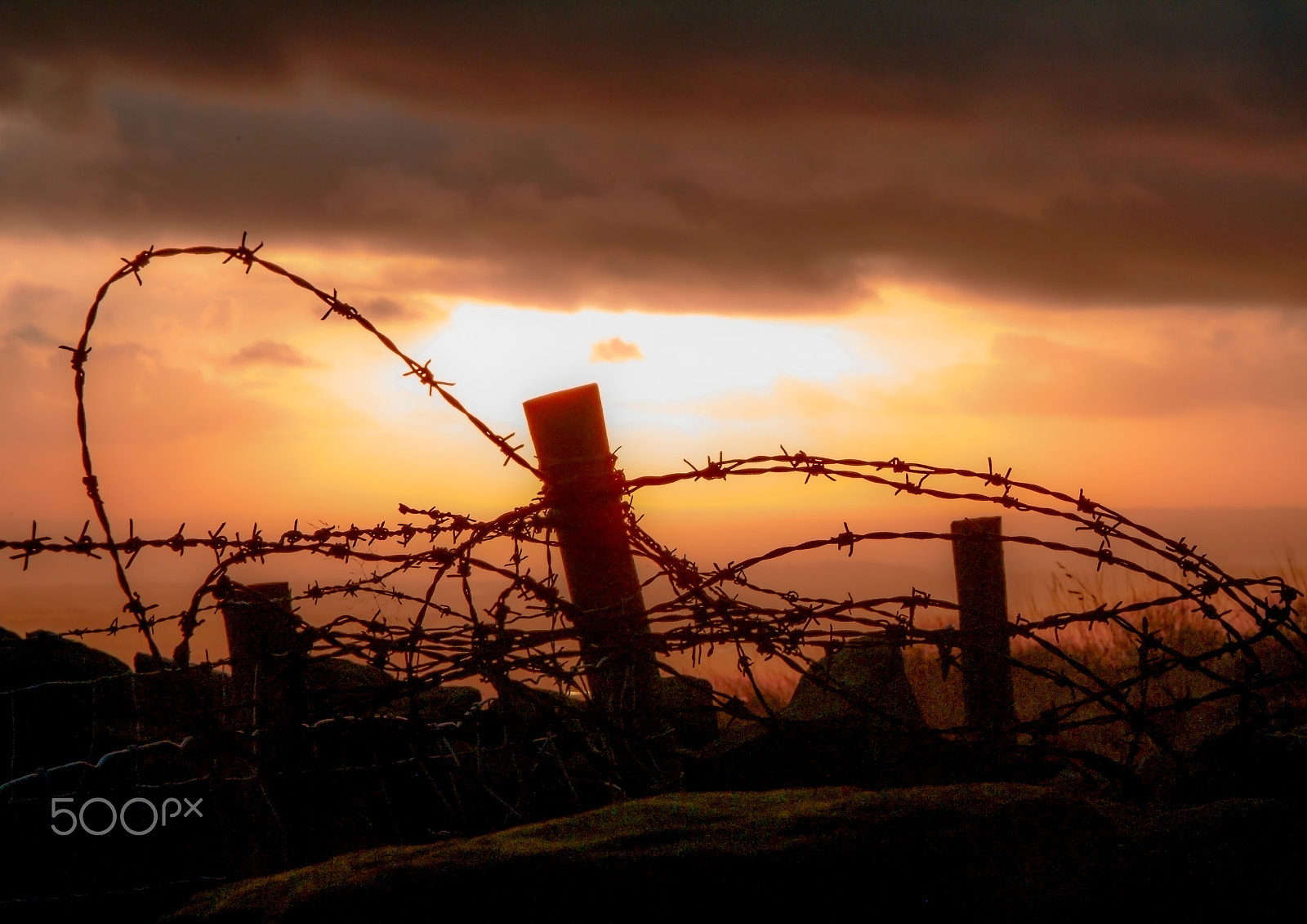 Fujifilm FinePix S2 Pro sample photo. Barbed wire fencing photography
