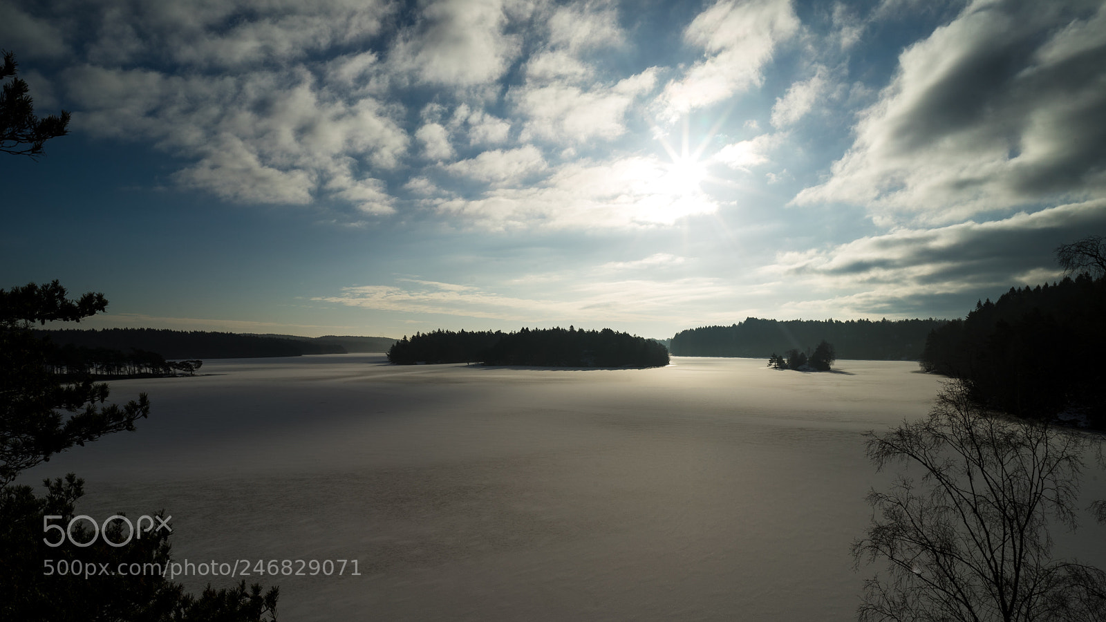 Sony a7 II sample photo. Winter dawn photography