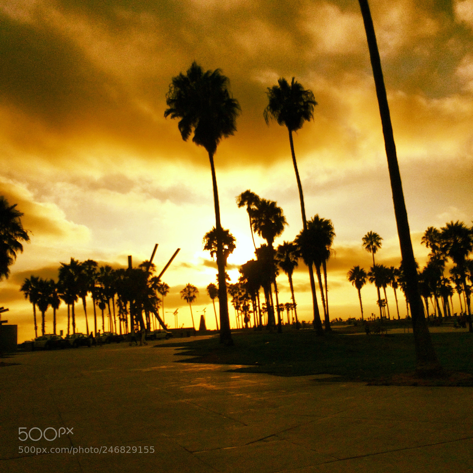 Apple iPhone 5s sample photo. Sunset in venice beach photography