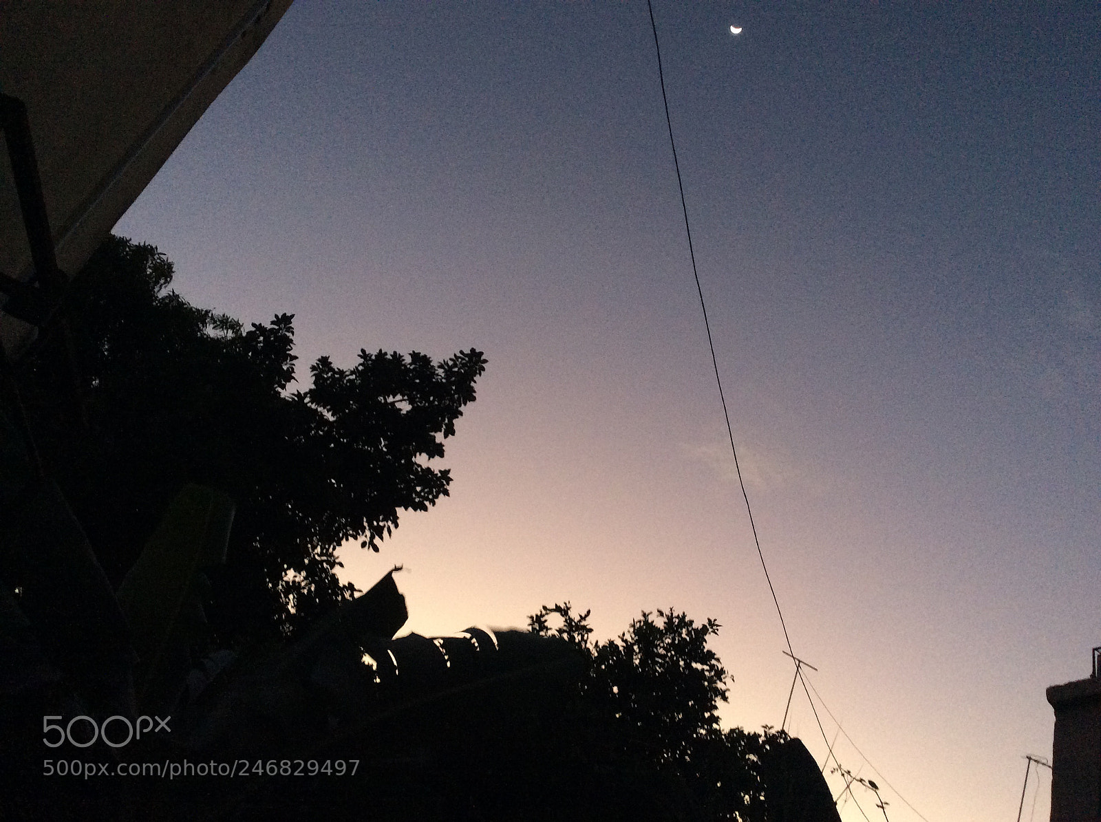 Apple iPad Air sample photo. Untitled photography