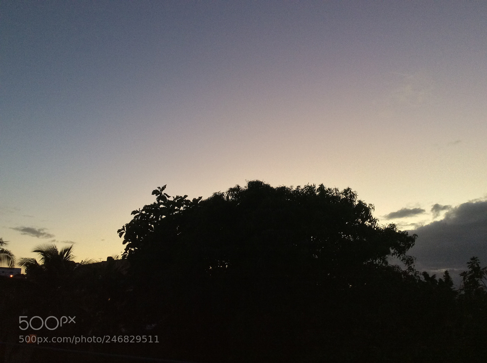Apple iPad Air sample photo. Untitled photography
