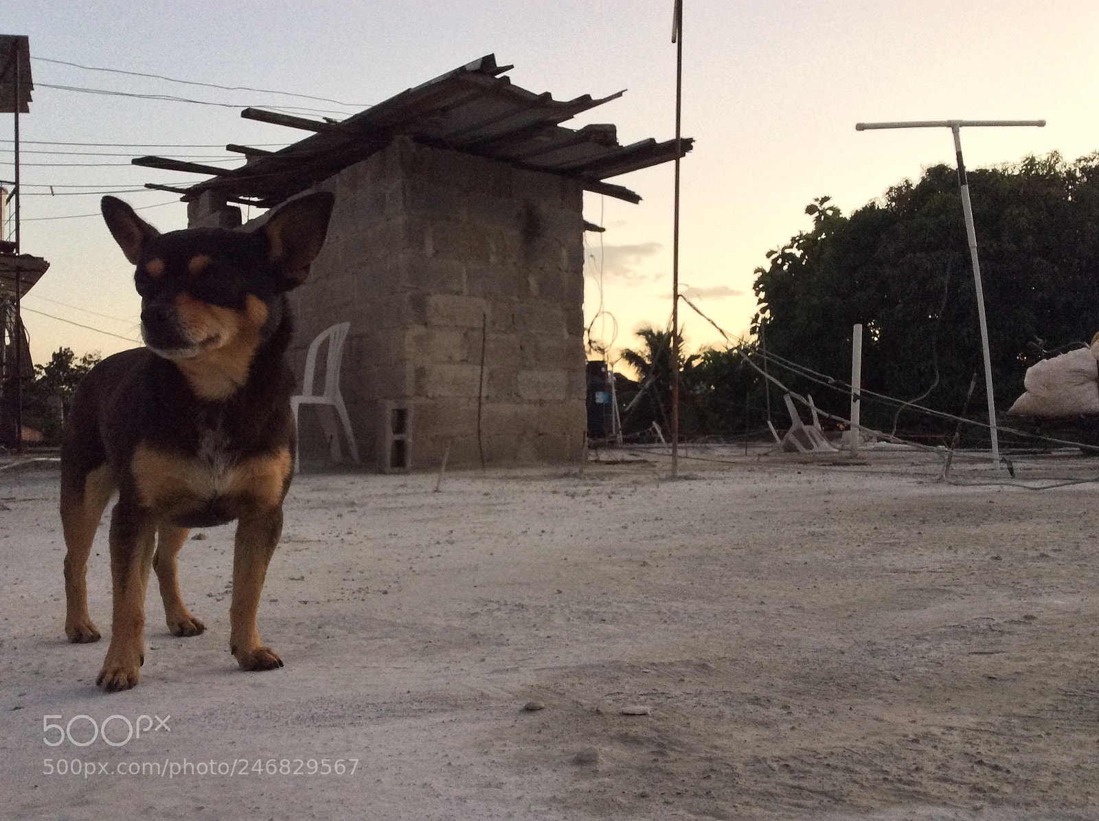 Apple iPad Air sample photo. Untitled photography