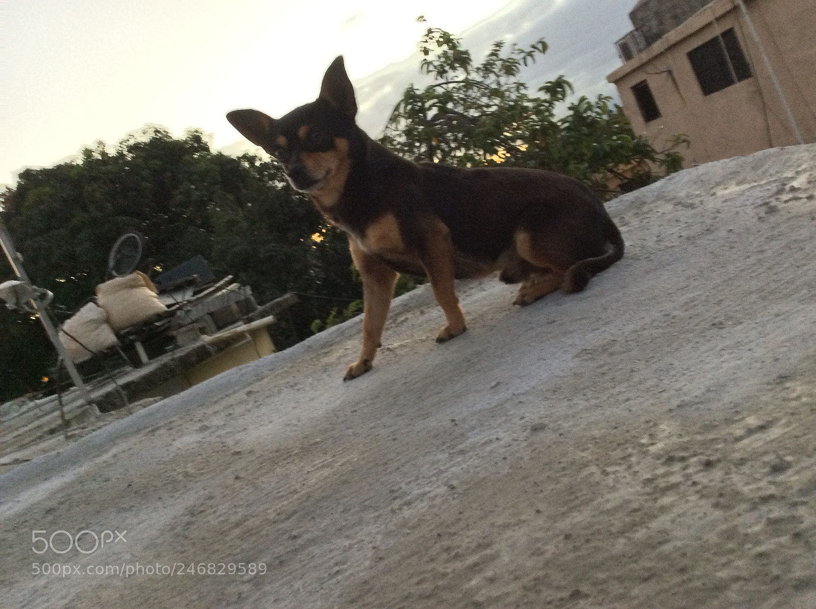 Apple iPad Air sample photo. Untitled photography