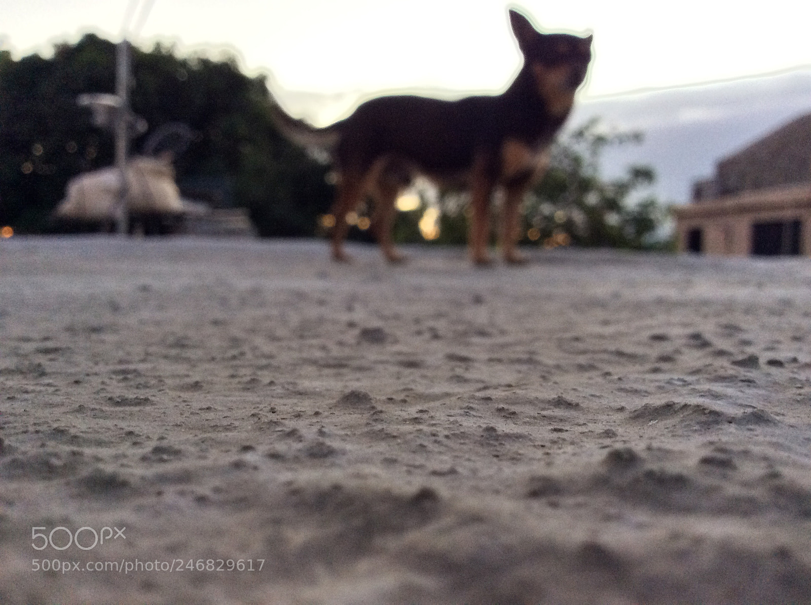Apple iPad Air sample photo. Untitled photography