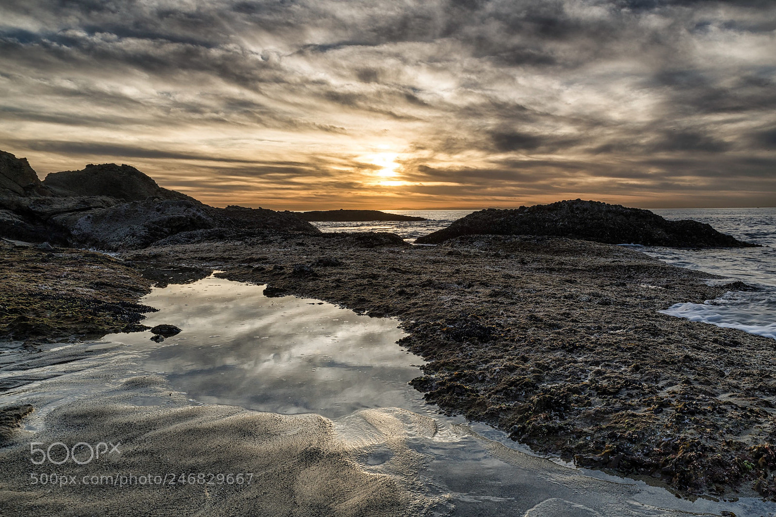 Nikon D850 sample photo. Tide pool reflection. photography
