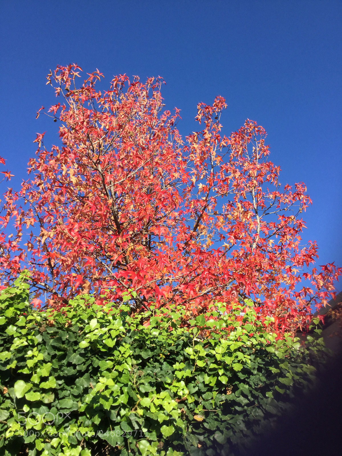 Apple iPad Air 2 sample photo. Untitled photography